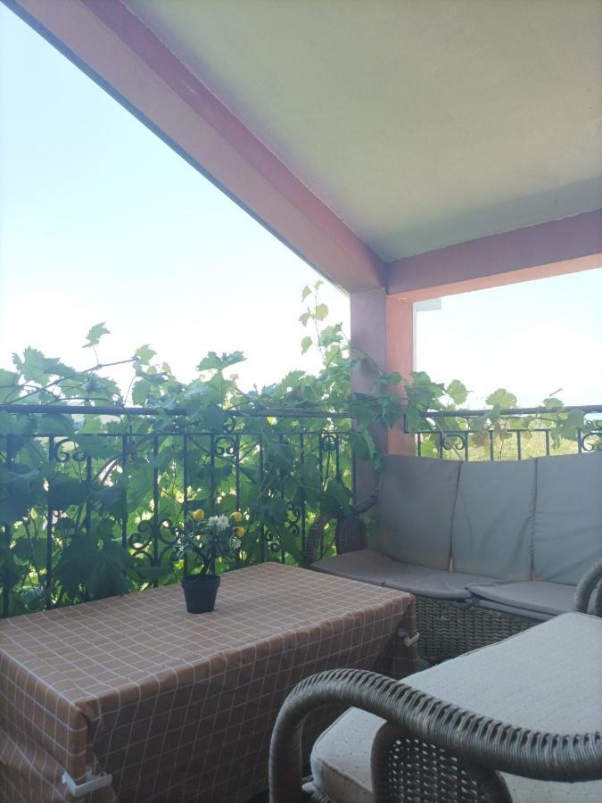 Apartman Balsa Kotor Eksteriør bilde